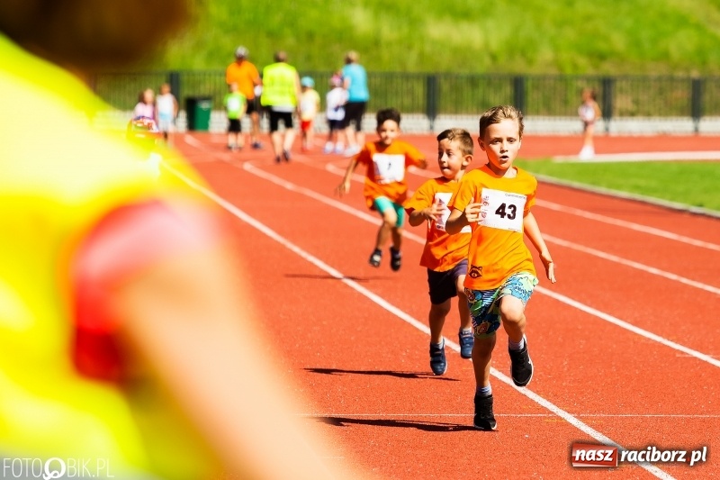 Zdjęcie w galerii na portalu naszraciborz.pl: W Raciborzu odbył się polski finał Czekoladowych Kolców wiadomości z regionu