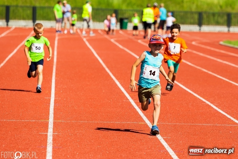 Zdjęcie w galerii na portalu naszraciborz.pl: W Raciborzu odbył się polski finał Czekoladowych Kolców wiadomości z regionu
