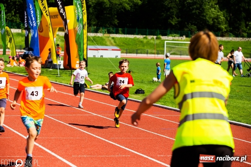 Zdjęcie w galerii na portalu naszraciborz.pl: W Raciborzu odbył się polski finał Czekoladowych Kolców wiadomości z regionu