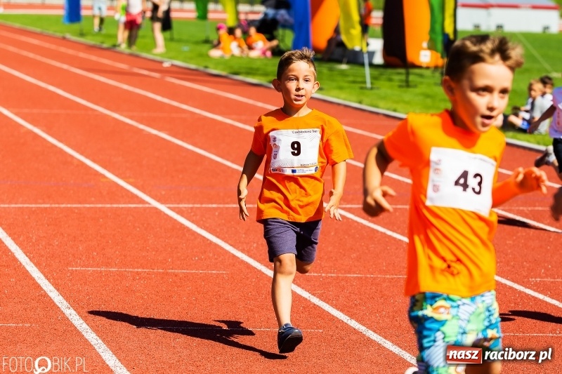 Zdjęcie w galerii na portalu naszraciborz.pl: W Raciborzu odbył się polski finał Czekoladowych Kolców wiadomości z regionu