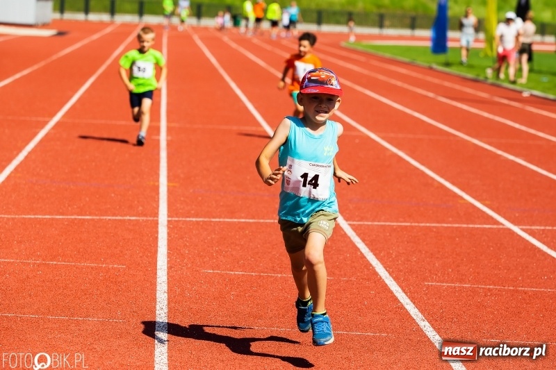 Zdjęcie w galerii na portalu naszraciborz.pl: W Raciborzu odbył się polski finał Czekoladowych Kolców wiadomości z regionu