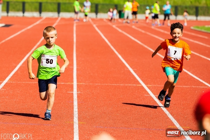 Zdjęcie w galerii na portalu naszraciborz.pl: W Raciborzu odbył się polski finał Czekoladowych Kolców wiadomości z regionu