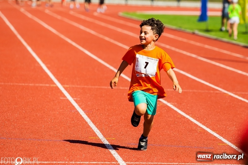 Zdjęcie w galerii na portalu naszraciborz.pl: W Raciborzu odbył się polski finał Czekoladowych Kolców wiadomości z regionu