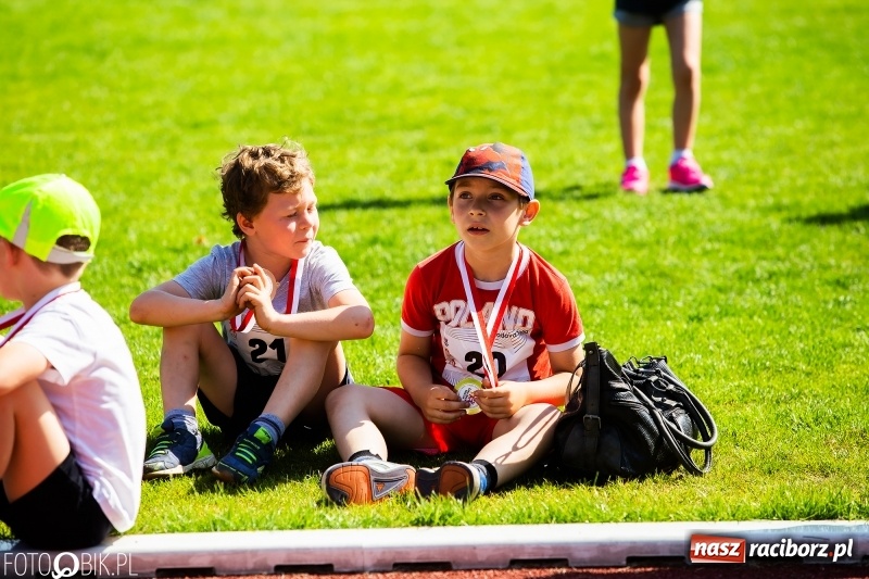 Zdjęcie w galerii na portalu naszraciborz.pl: W Raciborzu odbył się polski finał Czekoladowych Kolców wiadomości z regionu