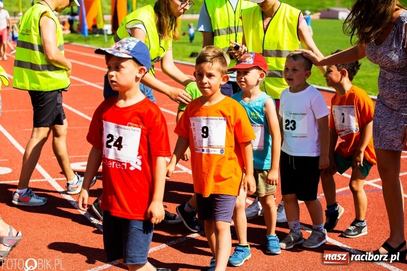 Zdjęcie w galerii na portalu naszraciborz.pl: W Raciborzu odbył się polski finał Czekoladowych Kolców wiadomości z regionu