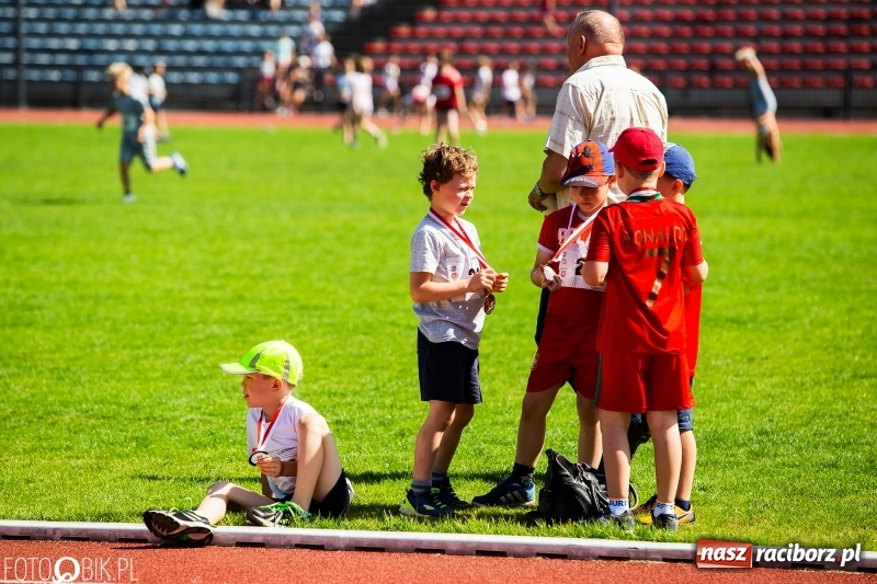 Zdjęcie w galerii na portalu naszraciborz.pl: W Raciborzu odbył się polski finał Czekoladowych Kolców wiadomości z regionu