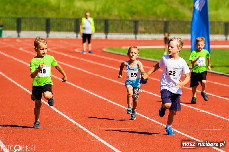 Zdjęcie w galerii na portalu naszraciborz.pl: W Raciborzu odbył się polski finał Czekoladowych Kolców wiadomości z regionu