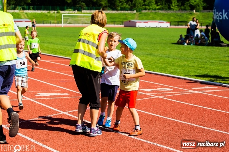 Zdjęcie w galerii na portalu naszraciborz.pl: W Raciborzu odbył się polski finał Czekoladowych Kolców wiadomości z regionu