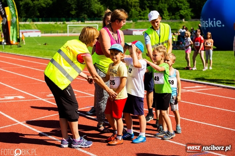Zdjęcie w galerii na portalu naszraciborz.pl: W Raciborzu odbył się polski finał Czekoladowych Kolców wiadomości z regionu