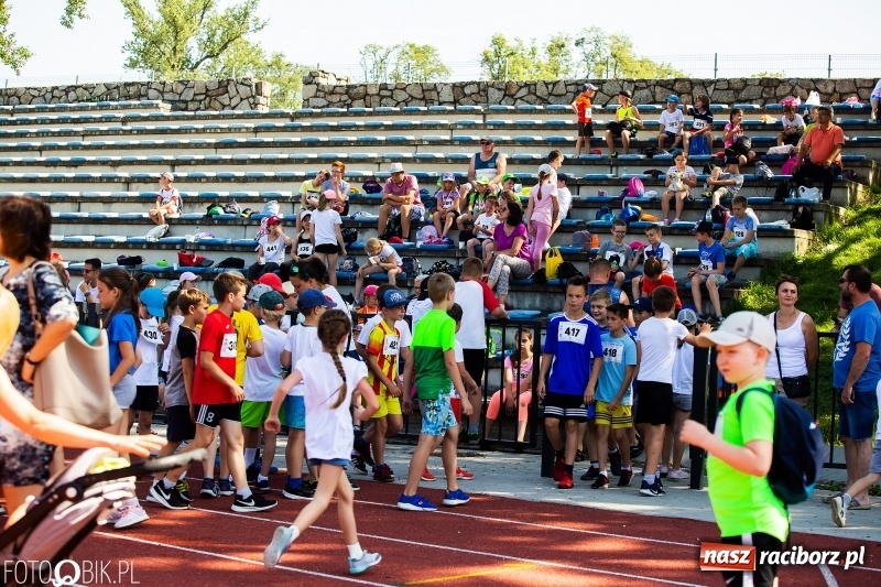 Zdjęcie w galerii na portalu naszraciborz.pl: W Raciborzu odbył się polski finał Czekoladowych Kolców wiadomości z regionu