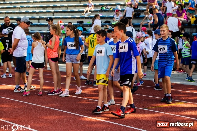 Zdjęcie w galerii na portalu naszraciborz.pl: W Raciborzu odbył się polski finał Czekoladowych Kolców wiadomości z regionu
