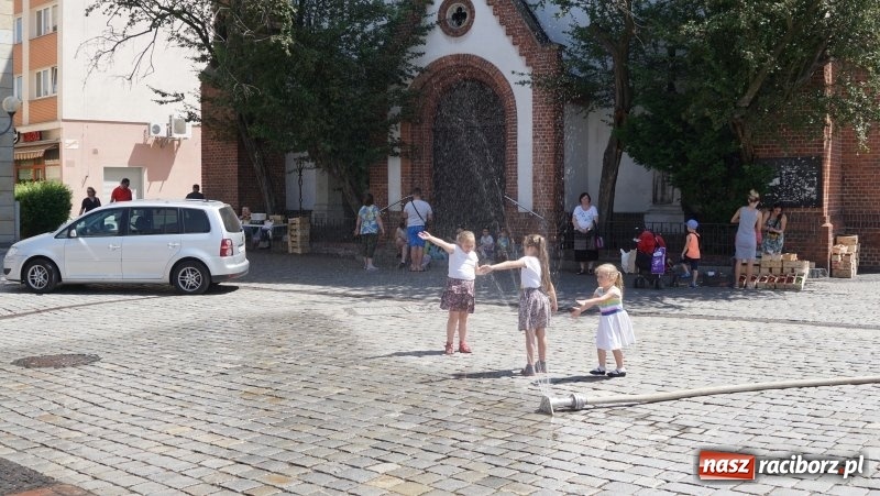 Zdjęcie w galerii na portalu naszraciborz.pl: Zraszacze i krótsze lekcje. Racibórz walczy z upałem [FOTO] wiadomości z regionu