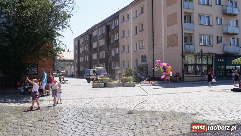 Zdjęcie w galerii na portalu naszraciborz.pl: Zraszacze i krótsze lekcje. Racibórz walczy z upałem [FOTO] wiadomości z regionu