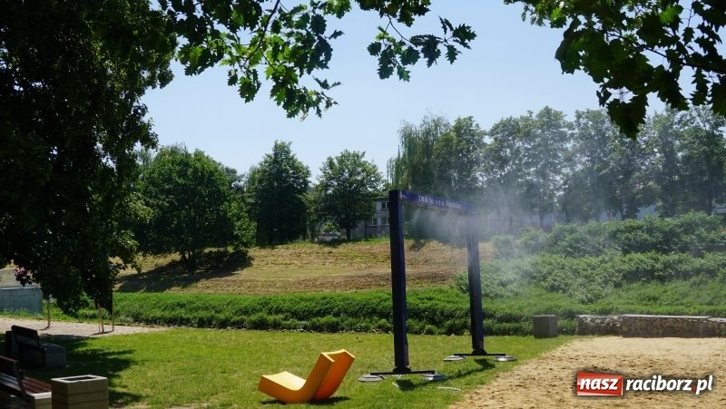 Zdjęcie w galerii na portalu naszraciborz.pl: Zraszacze i krótsze lekcje. Racibórz walczy z upałem [FOTO] wiadomości z regionu