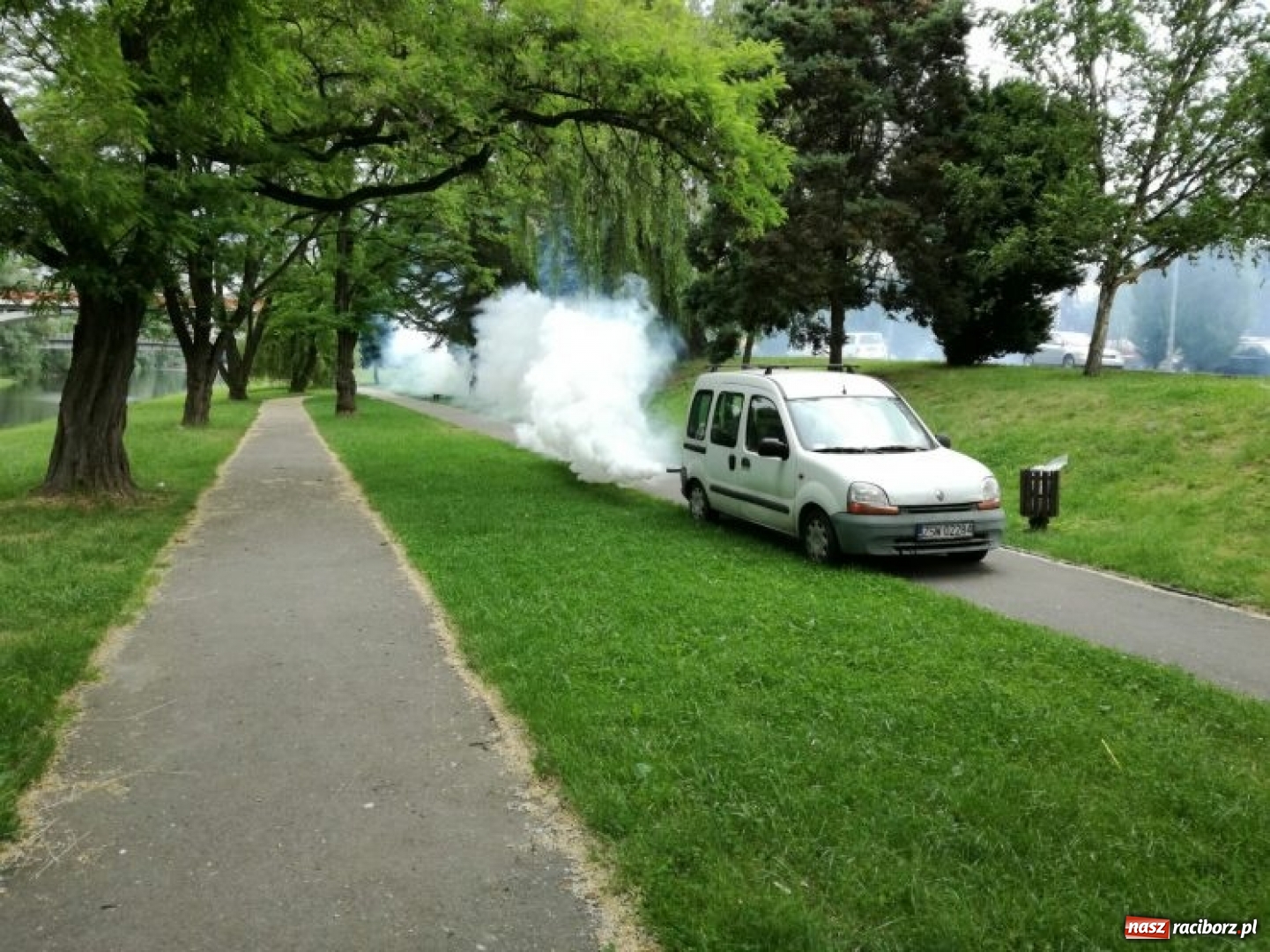 Zdjęcie w galerii na portalu naszraciborz.pl: Odkomarzanie w Raciborzu? Pytamy o to prezydenta  wiadomości z regionu