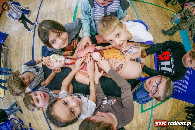 Zdjęcie w galerii na portalu naszraciborz.pl: Naukobus z Centrum Nauki Kopernik zawita do Raciborza wiadomości z regionu