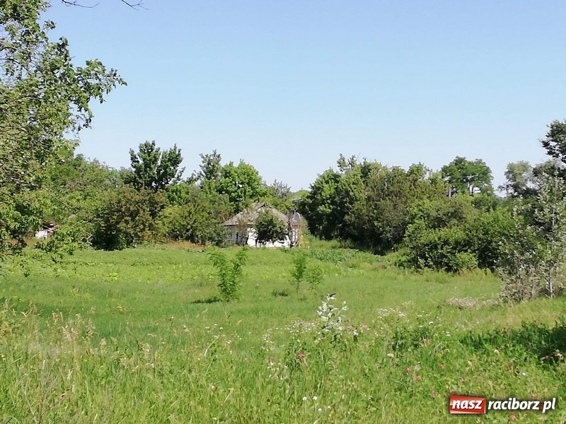 Zdjęcie w galerii na portalu naszraciborz.pl: Czwórka gościła na Ukrainie  wiadomości z regionu