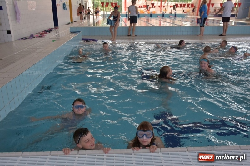 Zdjęcie w galerii na portalu naszraciborz.pl: Jak ryby w wodzie. Pływackie zawody w gminie Krzyżanowice  wiadomości z regionu