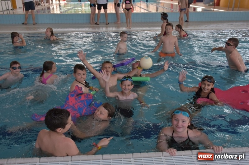 Zdjęcie w galerii na portalu naszraciborz.pl: Jak ryby w wodzie. Pływackie zawody w gminie Krzyżanowice  wiadomości z regionu