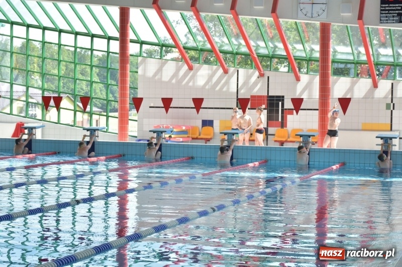 Zdjęcie w galerii na portalu naszraciborz.pl: Jak ryby w wodzie. Pływackie zawody w gminie Krzyżanowice  wiadomości z regionu