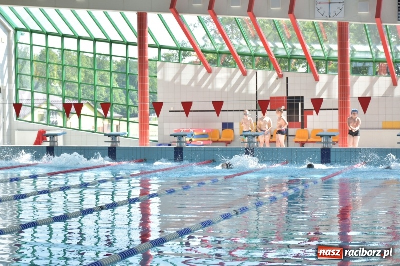 Zdjęcie w galerii na portalu naszraciborz.pl: Jak ryby w wodzie. Pływackie zawody w gminie Krzyżanowice  wiadomości z regionu