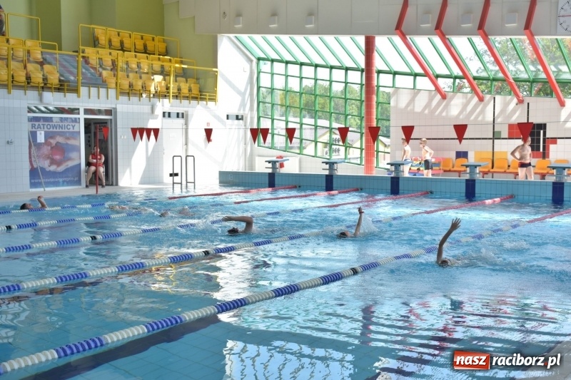 Zdjęcie w galerii na portalu naszraciborz.pl: Jak ryby w wodzie. Pływackie zawody w gminie Krzyżanowice  wiadomości z regionu