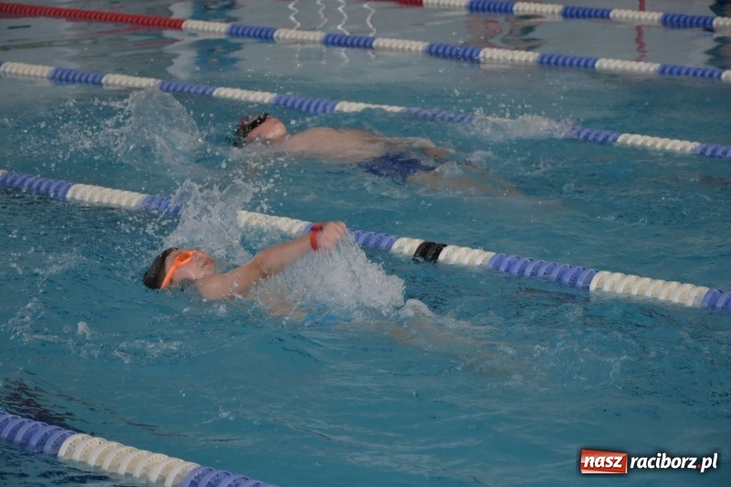 Zdjęcie w galerii na portalu naszraciborz.pl: Jak ryby w wodzie. Pływackie zawody w gminie Krzyżanowice  wiadomości z regionu