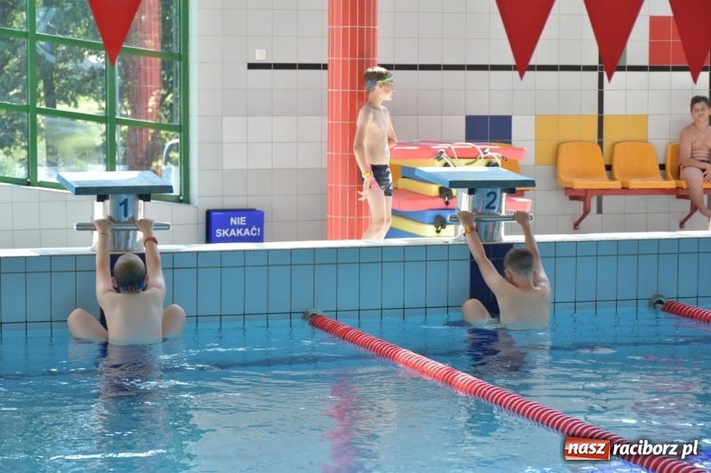 Zdjęcie w galerii na portalu naszraciborz.pl: Jak ryby w wodzie. Pływackie zawody w gminie Krzyżanowice  wiadomości z regionu