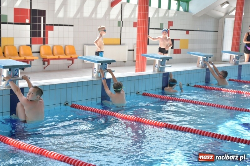 Zdjęcie w galerii na portalu naszraciborz.pl: Jak ryby w wodzie. Pływackie zawody w gminie Krzyżanowice  wiadomości z regionu