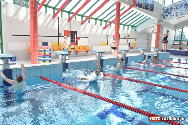 Zdjęcie w galerii na portalu naszraciborz.pl: Jak ryby w wodzie. Pływackie zawody w gminie Krzyżanowice  wiadomości z regionu