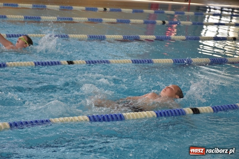 Zdjęcie w galerii na portalu naszraciborz.pl: Jak ryby w wodzie. Pływackie zawody w gminie Krzyżanowice  wiadomości z regionu