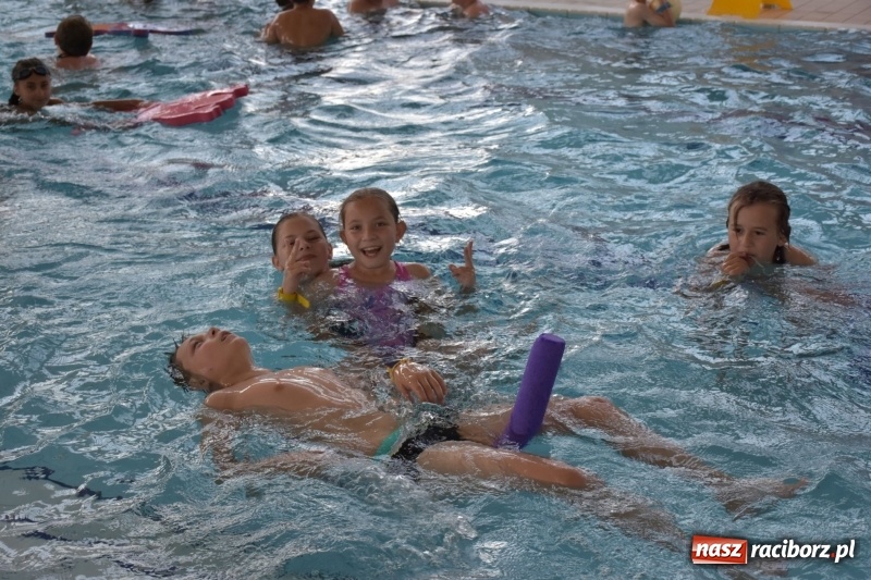 Zdjęcie w galerii na portalu naszraciborz.pl: Jak ryby w wodzie. Pływackie zawody w gminie Krzyżanowice  wiadomości z regionu