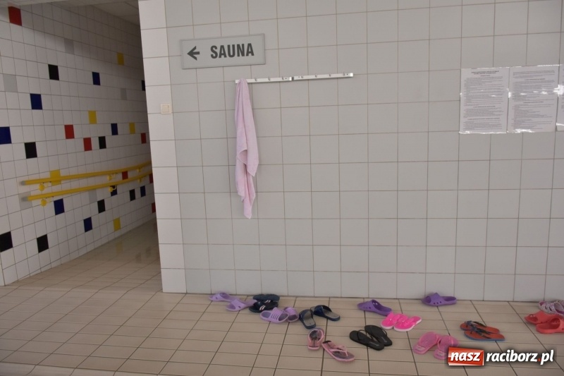 Zdjęcie w galerii na portalu naszraciborz.pl: Jak ryby w wodzie. Pływackie zawody w gminie Krzyżanowice  wiadomości z regionu