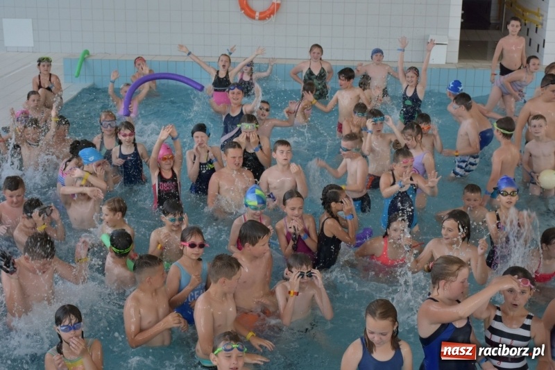 Zdjęcie w galerii na portalu naszraciborz.pl: Jak ryby w wodzie. Pływackie zawody w gminie Krzyżanowice  wiadomości z regionu