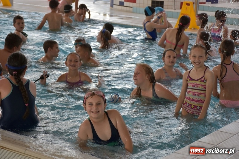 Zdjęcie w galerii na portalu naszraciborz.pl: Jak ryby w wodzie. Pływackie zawody w gminie Krzyżanowice  wiadomości z regionu