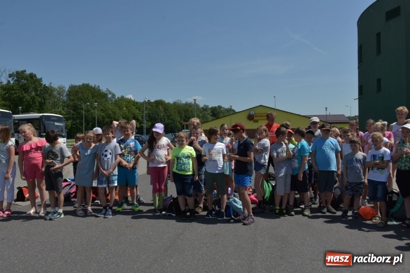 Zdjęcie w galerii na portalu naszraciborz.pl: Jak ryby w wodzie. Pływackie zawody w gminie Krzyżanowice  wiadomości z regionu