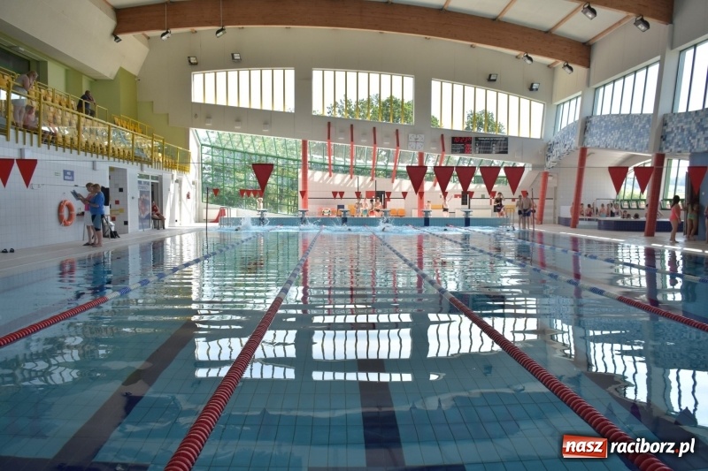 Zdjęcie w galerii na portalu naszraciborz.pl: Jak ryby w wodzie. Pływackie zawody w gminie Krzyżanowice  wiadomości z regionu