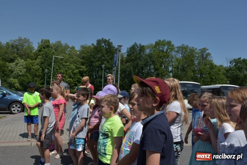 Zdjęcie w galerii na portalu naszraciborz.pl: Jak ryby w wodzie. Pływackie zawody w gminie Krzyżanowice  wiadomości z regionu