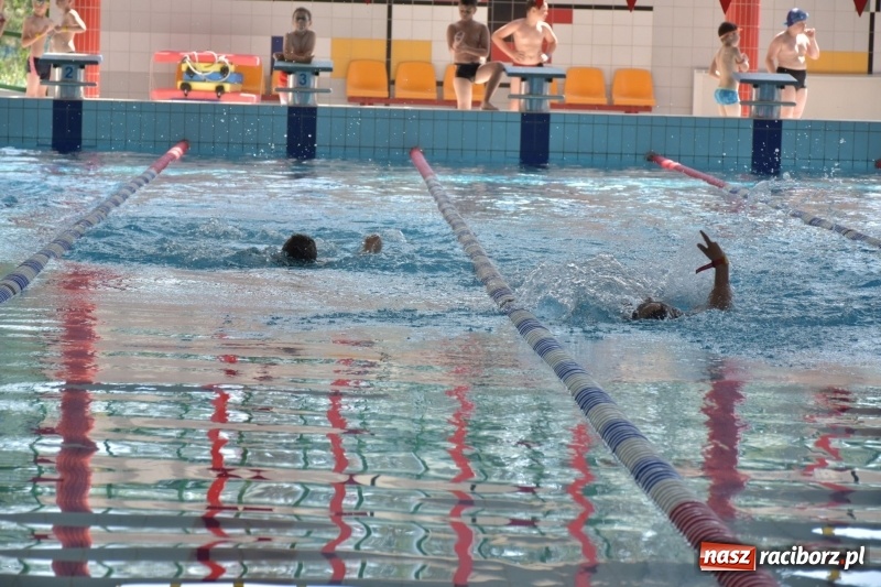 Zdjęcie w galerii na portalu naszraciborz.pl: Jak ryby w wodzie. Pływackie zawody w gminie Krzyżanowice  wiadomości z regionu