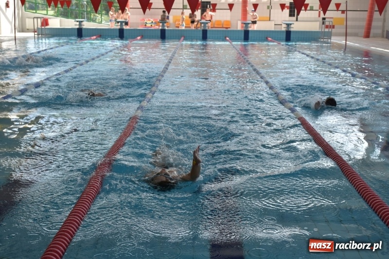 Zdjęcie w galerii na portalu naszraciborz.pl: Jak ryby w wodzie. Pływackie zawody w gminie Krzyżanowice  wiadomości z regionu