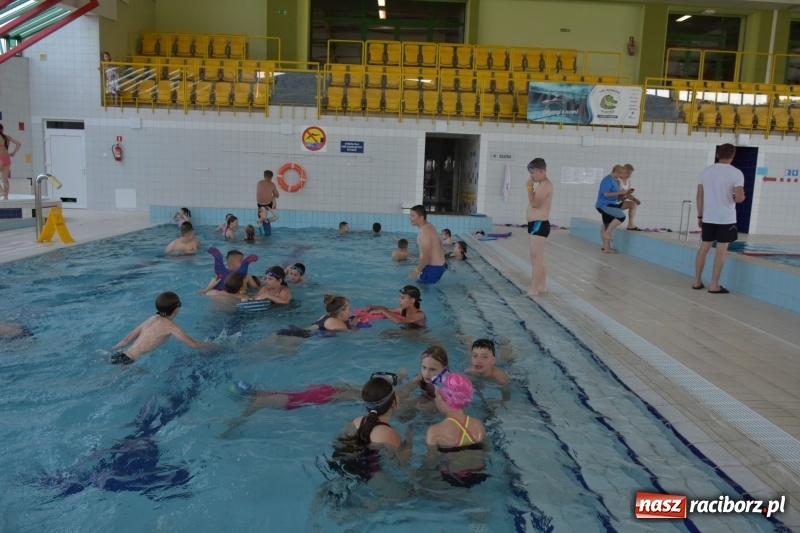 Zdjęcie w galerii na portalu naszraciborz.pl: Jak ryby w wodzie. Pływackie zawody w gminie Krzyżanowice  wiadomości z regionu