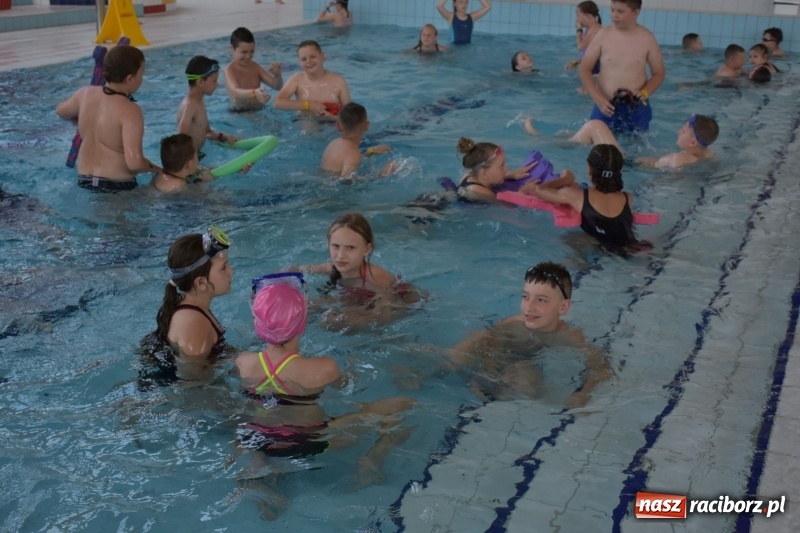 Zdjęcie w galerii na portalu naszraciborz.pl: Jak ryby w wodzie. Pływackie zawody w gminie Krzyżanowice  wiadomości z regionu