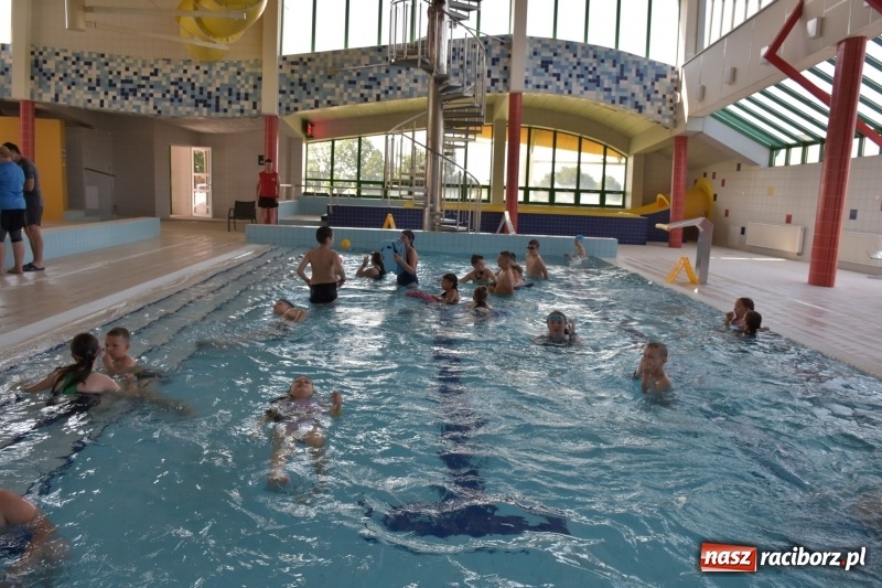 Zdjęcie w galerii na portalu naszraciborz.pl: Jak ryby w wodzie. Pływackie zawody w gminie Krzyżanowice  wiadomości z regionu