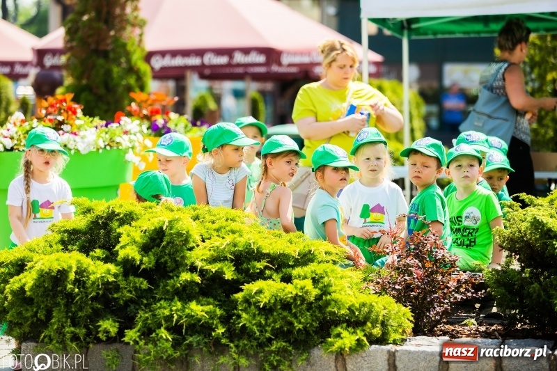 Zdjęcie w galerii na portalu naszraciborz.pl: Festyn ekologiczny dla dzieci na raciborskim Rynku wiadomości z regionu