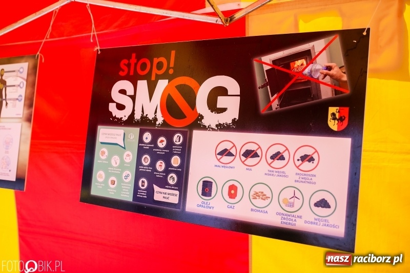 Zdjęcie w galerii na portalu naszraciborz.pl: Festyn ekologiczny dla dzieci na raciborskim Rynku wiadomości z regionu