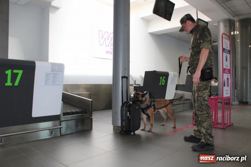 Zdjęcie w galerii na portalu naszraciborz.pl: Pogranicznicy z Raciborza ostrzegają podróżnych [FOTO] wiadomości z regionu