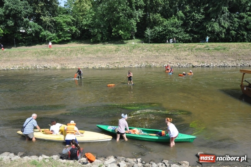 Zdjęcie w galerii na portalu naszraciborz.pl: Morsy spacerkiem, reszta powiosłuje albo włączy silniki. Skąd ruszy 22. Pływadło? wiadomości z regionu