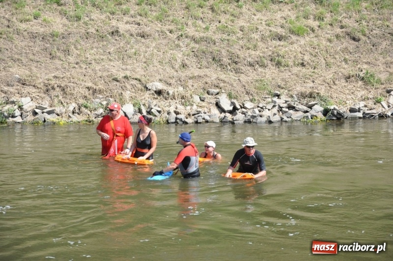 Zdjęcie w galerii na portalu naszraciborz.pl: Morsy spacerkiem, reszta powiosłuje albo włączy silniki. Skąd ruszy 22. Pływadło? wiadomości z regionu