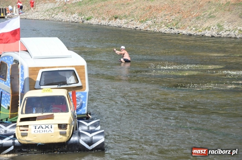 Zdjęcie w galerii na portalu naszraciborz.pl: Morsy spacerkiem, reszta powiosłuje albo włączy silniki. Skąd ruszy 22. Pływadło? wiadomości z regionu