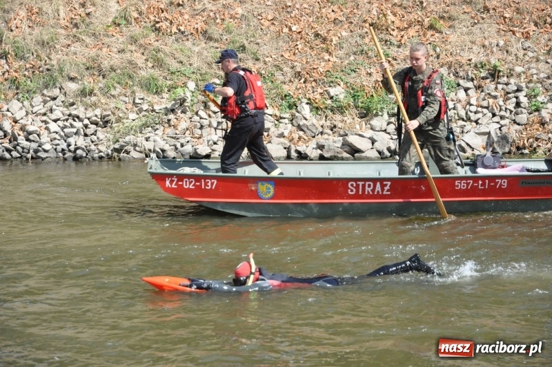 Zdjęcie w galerii na portalu naszraciborz.pl: Morsy spacerkiem, reszta powiosłuje albo włączy silniki. Skąd ruszy 22. Pływadło? wiadomości z regionu